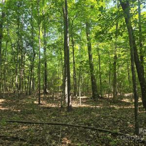 Photo #9 of Hoke, Heath Springs, SC