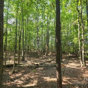 Photo #13 of Hoke, Heath Springs, SC