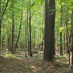 Photo #3 of Hoke, Heath Springs, SC