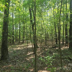 Photo #5 of Hoke, Heath Springs, SC