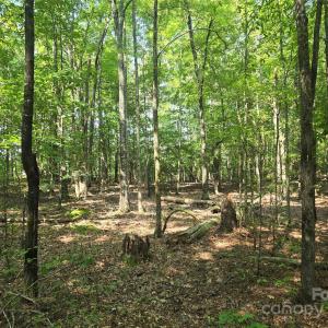 Photo #6 of Hoke, Heath Springs, SC