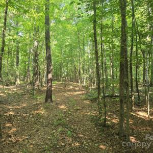 Photo #4 of Hoke, Heath Springs, SC