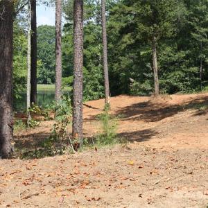 Photo #3 of 808 Bellegray, Clover, SC