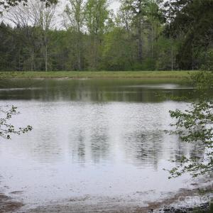 Photo #5 of 808 Bellegray, Clover, SC