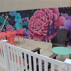 Photo #34 of 569 Union, Concord, NC