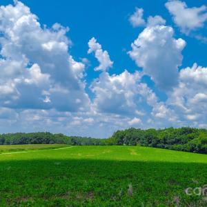 Photo #1 of 7908 Concord, Monroe, NC