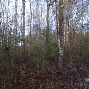 Photo #18 of 104 Ac Cedarhurst, Chester, SC