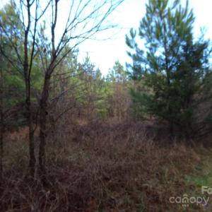 Photo #12 of 104 Ac Cedarhurst, Chester, SC