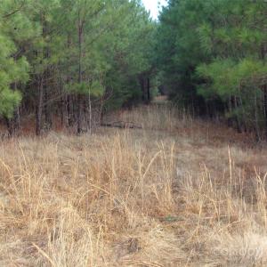 Photo #14 of 104 Ac Cedarhurst, Chester, SC