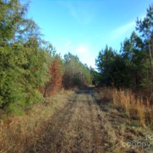 Photo #9 of 104 Ac Cedarhurst, Chester, SC