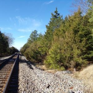 Photo #5 of 104 Ac Cedarhurst, Chester, SC