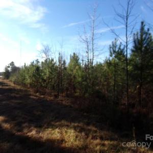 Photo #6 of 104 Ac Cedarhurst, Chester, SC