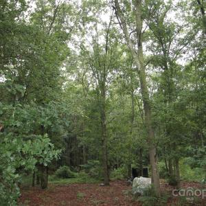 Photo #2 of TBD Rainbow, Wadesboro, NC