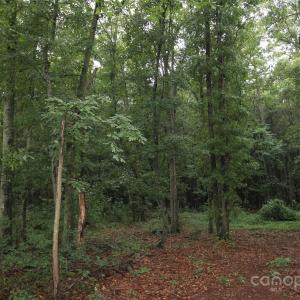 Photo #3 of TBD Rainbow, Wadesboro, NC