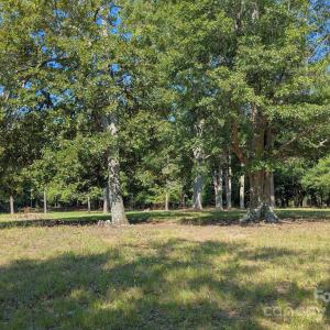 Photo #2 of 0000 Tract #1A Roddey, Catawba, SC
