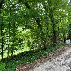 Photo #7 of 704 Gem, Kannapolis, NC
