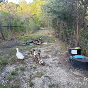 Photo #14 of 11155 & 11165 Highway 52, Rockwell, NC