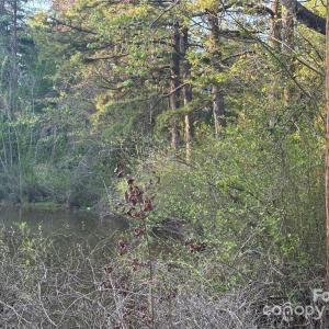 Photo #9 of 11155 & 11165 Highway 52, Rockwell, NC