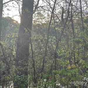 Photo #20 of 11155 & 11165 Highway 52, Rockwell, NC