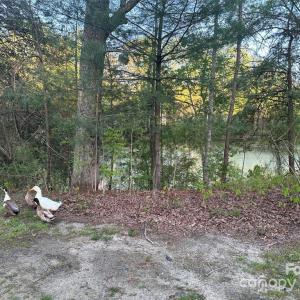 Photo #10 of 11155 & 11165 Highway 52, Rockwell, NC