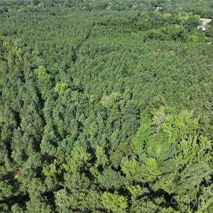 Photo #4 of CHESTERFIELD, Wadesboro, NC