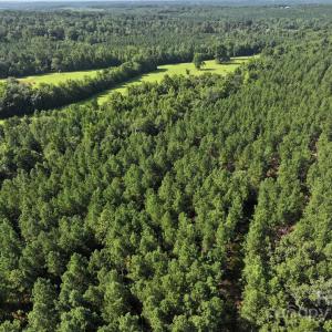 Photo #2 of CHESTERFIELD, Wadesboro, NC