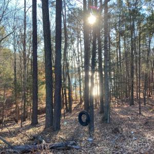 Photo #3 of 3539 Pearson, Blair, SC