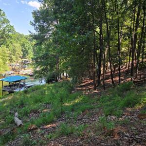 Photo #9 of 3110 Point Clear, Tega Cay, SC