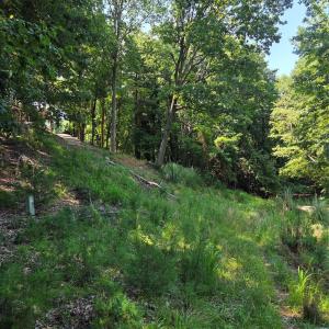 Photo #10 of 3110 Point Clear, Tega Cay, SC