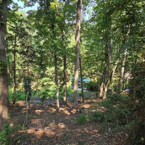 Photo #7 of 3110 Point Clear, Tega Cay, SC