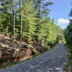 Photo #11 of 776 North Springs, Blackstock, SC