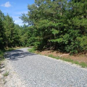 Photo #9 of 776 North Springs, Blackstock, SC