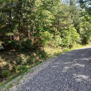 Photo #13 of 776 North Springs, Blackstock, SC