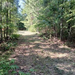 Photo #3 of 776 North Springs, Blackstock, SC