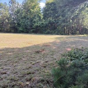 Photo #19 of 776 North Springs, Blackstock, SC
