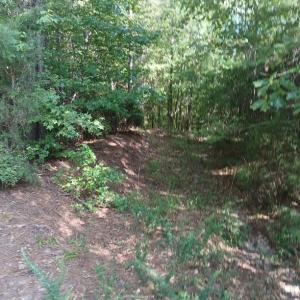 Photo #18 of 776 North Springs, Blackstock, SC
