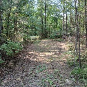 Photo #16 of 776 North Springs, Blackstock, SC