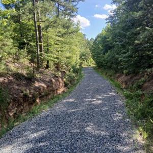 Photo #12 of 776 North Springs, Blackstock, SC