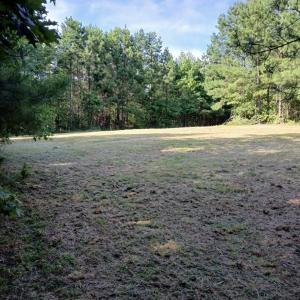 Photo #6 of 776 North Springs, Blackstock, SC
