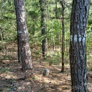 Photo #5 of 776 North Springs, Blackstock, SC