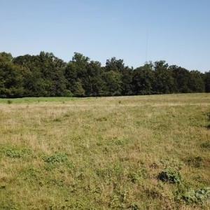 Photo #2 of TBD Nance Tarlton, Marshville, NC