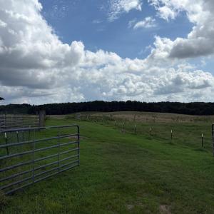 Photo #6 of Vac Eddins Poplin, Norwood, NC