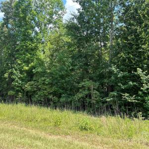 Photo #2 of Cabal, Sharon, SC