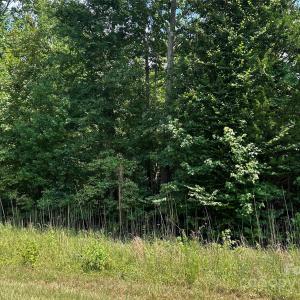 Photo #5 of Cabal, Sharon, SC