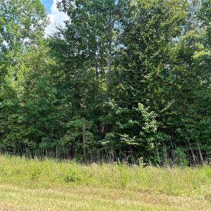 Photo #6 of Cabal, Sharon, SC