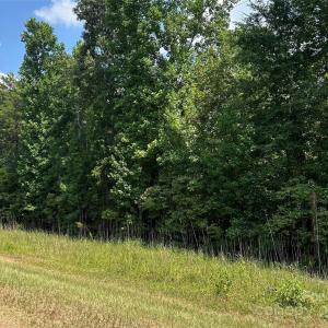 Photo #3 of Cabal, Sharon, SC