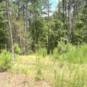 Photo #1 of 2127 Oldfield, Rock Hill, SC