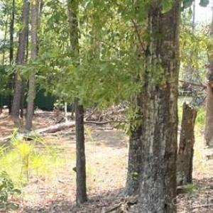 Photo #2 of 2127 Oldfield, Rock Hill, SC