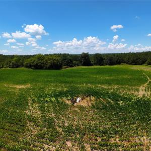 Photo #14 of 1455 Blonnie Ross, Polkton, NC