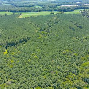 Photo #15 of 1455 Blonnie Ross, Polkton, NC